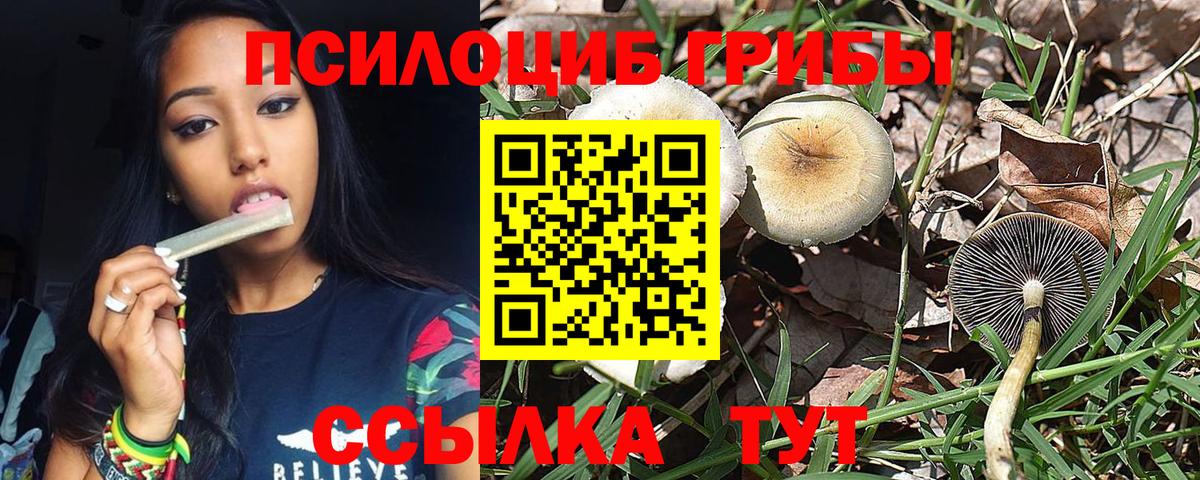 Псилоцибиновые грибы GOLDEN TEACHER Кострома