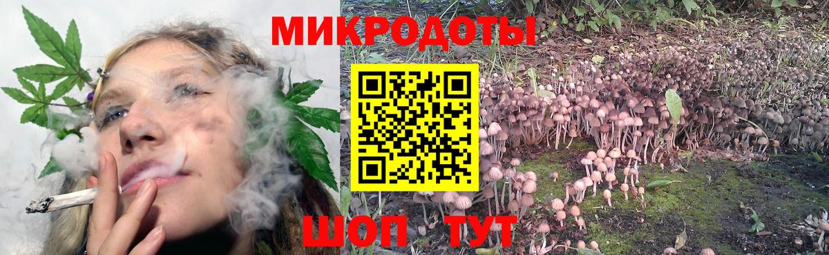 Кострома  Галлюциногенные грибы прущие грибы  Галлюциногенные грибы Psilocybine cubensis  Вход с VPN 